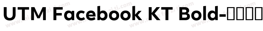 UTM Facebook KT Bold字体转换